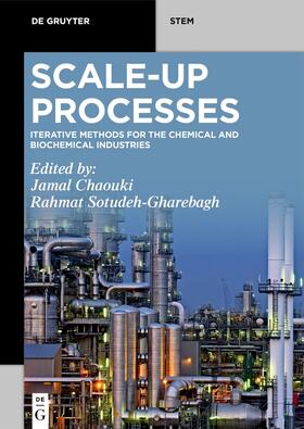 Chaouki / Sotudeh-Gharebagh |  Scale-Up Processes | eBook | Sack Fachmedien