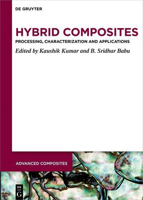 Kumar / Babu |  Hybrid Composites | Buch |  Sack Fachmedien