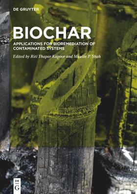 Thapar Kapoor / Shah |  BioChar | eBook | Sack Fachmedien