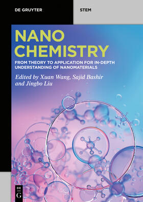 Wang / Bashir / Liu |  Nanochemistry | eBook | Sack Fachmedien