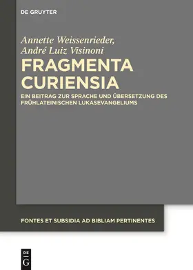 Weissenrieder / Visinoni | Fragmenta Curiensia | Buch | 978-3-11-075086-7 | sack.de