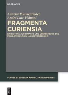 Weissenrieder / Visinoni |  Fragmenta Curiensia | eBook | Sack Fachmedien