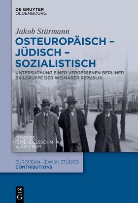 Stürmann |  Osteuropäisch – jüdisch – sozialistisch | eBook | Sack Fachmedien