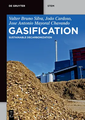 Silva / Cardoso / Chavando |  Gasification | Buch |  Sack Fachmedien