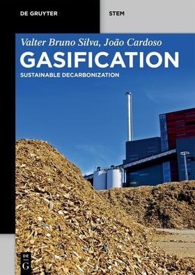 Silva / Cardoso / Chavando |  Gasification | eBook | Sack Fachmedien