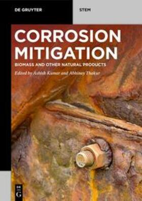 Kumar / Thakur |  Corrosion Mitigation | eBook | Sack Fachmedien