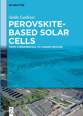 Laalioui |  Perovskite-Based Solar Cells | Buch |  Sack Fachmedien