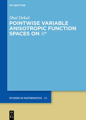 Dekel |  Pointwise Variable Anisotropic Function Spaces on Rn | Buch |  Sack Fachmedien