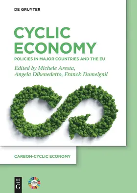 Aresta / Dibenedetto / Dumeignil |  Cyclic Economy | Buch |  Sack Fachmedien