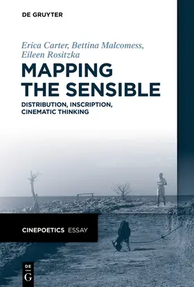 Carter / Malcomess / Rositzka |  Mapping the Sensible | Buch |  Sack Fachmedien