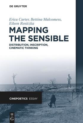 Carter / Malcomess / Rositzka |  Mapping the Sensible | eBook | Sack Fachmedien