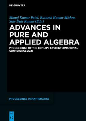 Patel / Mishra / Datt Kumar |  Advances in Pure and Applied Algebra | eBook | Sack Fachmedien