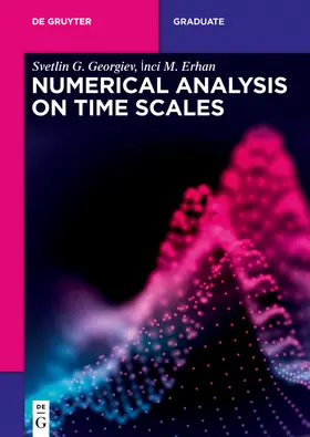 Georgiev / Erhan |  Numerical Analysis on Time Scales | Buch |  Sack Fachmedien