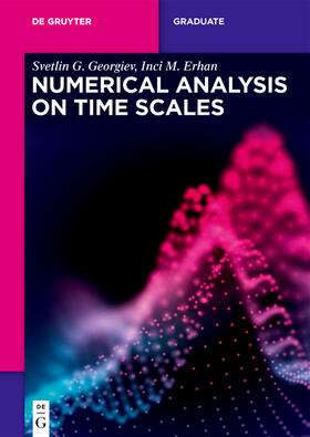 Georgiev / Erhan |  Numerical Analysis on Time Scales | eBook | Sack Fachmedien