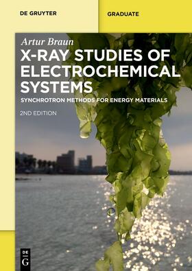 Braun |  X-Ray Studies on Electrochemical Systems | Buch |  Sack Fachmedien