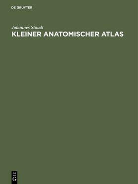 Staudt | Kleiner Anatomischer Atlas | E-Book | sack.de