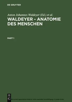 Fanghänel / Waldeyer / Pera |  Waldeyer – Anatomie des Menschen | eBook | Sack Fachmedien