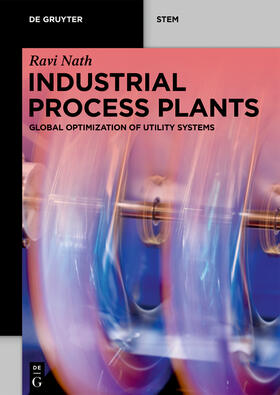 Nath |  Industrial Process Plants | Buch |  Sack Fachmedien