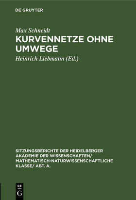 Schneidt / Liebmann |  Kurvennetze ohne Umwege | Buch |  Sack Fachmedien