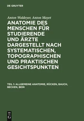 Mayet / Waldeyer |  Allgemeine Anatomie, Rücken, Bauch, Becken, Bein | Buch |  Sack Fachmedien