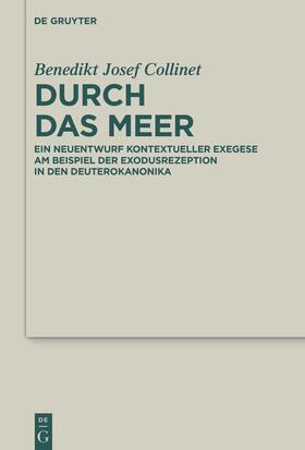 Collinet |  Durch das Meer | Buch |  Sack Fachmedien