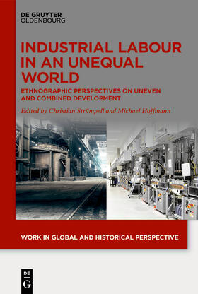 Strümpell / Hoffmann |  Industrial Labour in an Unequal World | eBook | Sack Fachmedien