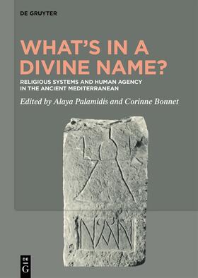 Palamidis / Bonnet / Yarza |  What’s in a Divine Name? | Buch |  Sack Fachmedien