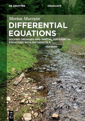 Muresan / Muresan |  Differential Equations | Buch |  Sack Fachmedien