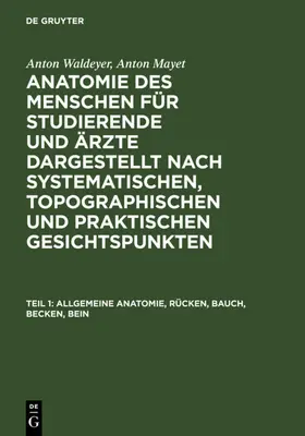 Waldeyer / Mayet |  Allgemeine Anatomie, Rücken, Bauch, Becken, Bein | eBook | Sack Fachmedien