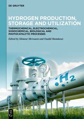 Merouani / Hamdaoui | Hydrogen Production, Storage and Utilization | Buch | 978-3-11-162375-7 | sack.de