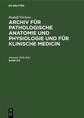 Orth |  Rudolf Virchow: Archiv für pathologische Anatomie und Physiologie und für klinische Medicin. Band 213 | eBook | Sack Fachmedien