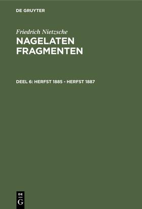 Wildshut / Nietzsche |  Herfst 1885 - herfst 1887 | eBook | Sack Fachmedien