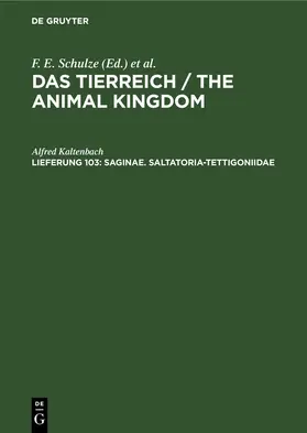 Kaltenbach |  Saginae. Saltatoria-Tettigoniidae | eBook | Sack Fachmedien