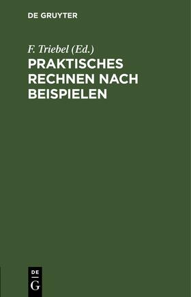 Triebel |  Praktisches Rechnen nach Beispielen | eBook | Sack Fachmedien