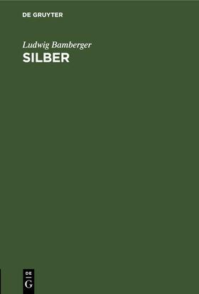 Bamberger |  Silber | Buch |  Sack Fachmedien