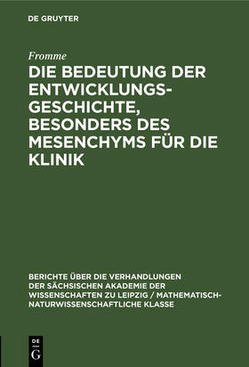 Fromme |  Die Bedeutung der Entwicklungsgeschichte, besonders des Mesenchyms für die Klinik | Buch |  Sack Fachmedien