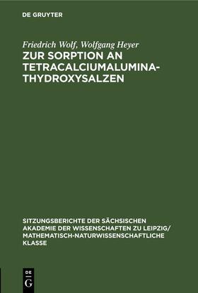 Heyer / Wolf |  Zur Sorption an Tetracalciumaluminathydroxysalzen | Buch |  Sack Fachmedien