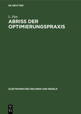 Pun |  Abriss der Optimierungspraxis | Buch |  Sack Fachmedien