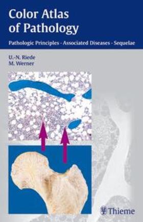 Riede / Werner |  Color Atlas of Pathology | Buch |  Sack Fachmedien