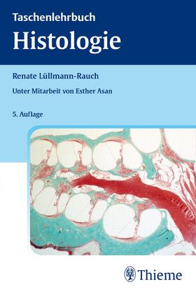 Lüllmann-Rauch |  Taschenlehrbuch Histologie | Buch |  Sack Fachmedien