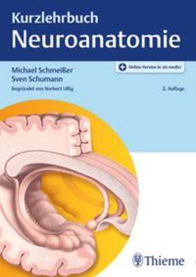 Schmeißer / Schuhmann / Ulfig |  Kurzlehrbuch Neuroanatomie | Buch |  Sack Fachmedien