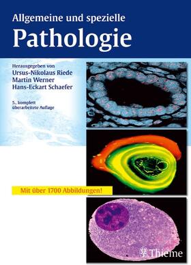 Riede / Schaefer |  Allgemeine und spezielle Pathologie | eBook | Sack Fachmedien
