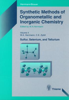 Herrmann / Zybill |  Synthetic Methods of Organometallic and Inorganic Chemistry, Volume 4, 1997 | eBook | Sack Fachmedien