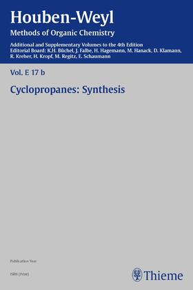 de Meijere / Vilsmaier / Büchel |  Houben-Weyl Methods of Organic Chemistry Vol. E 17b, 4th Edition Supplement | eBook | Sack Fachmedien