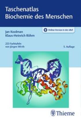 Koolman / Röhm |  Taschenatlas Biochemie des Menschen | Buch |  Sack Fachmedien