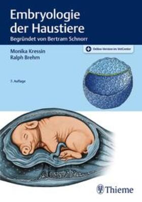 Kressin / Brehm / Schnorr |  Embryologie der Haustiere | Buch |  Sack Fachmedien