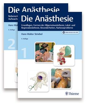 Striebel |  Die Anästhesie | eBook | Sack Fachmedien