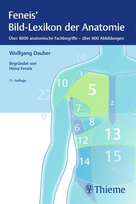 Dauber |  Bild-Lexikon der Anatomie | eBook | Sack Fachmedien