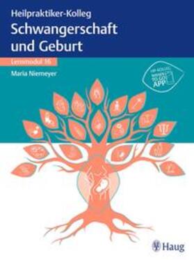 Niemeyer | Heilpraktiker-Kolleg - Erkrankungen rund um Schwangerschaft und Geburt - Lernmodul 16 | Buch | 978-3-13-243985-6 | sack.de