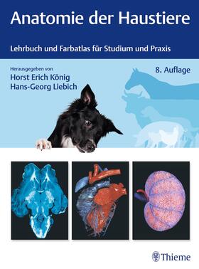 König / Liebich |  Anatomie der Haustiere | Buch |  Sack Fachmedien